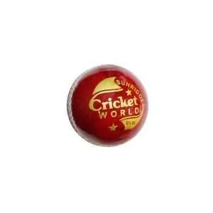 ss cricket world ball
